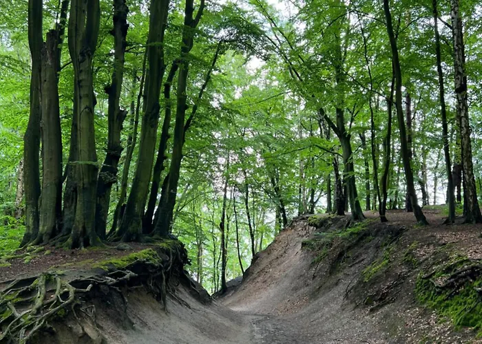 Apartamento Vintage House Z Widokiem Na Morze Gdynia